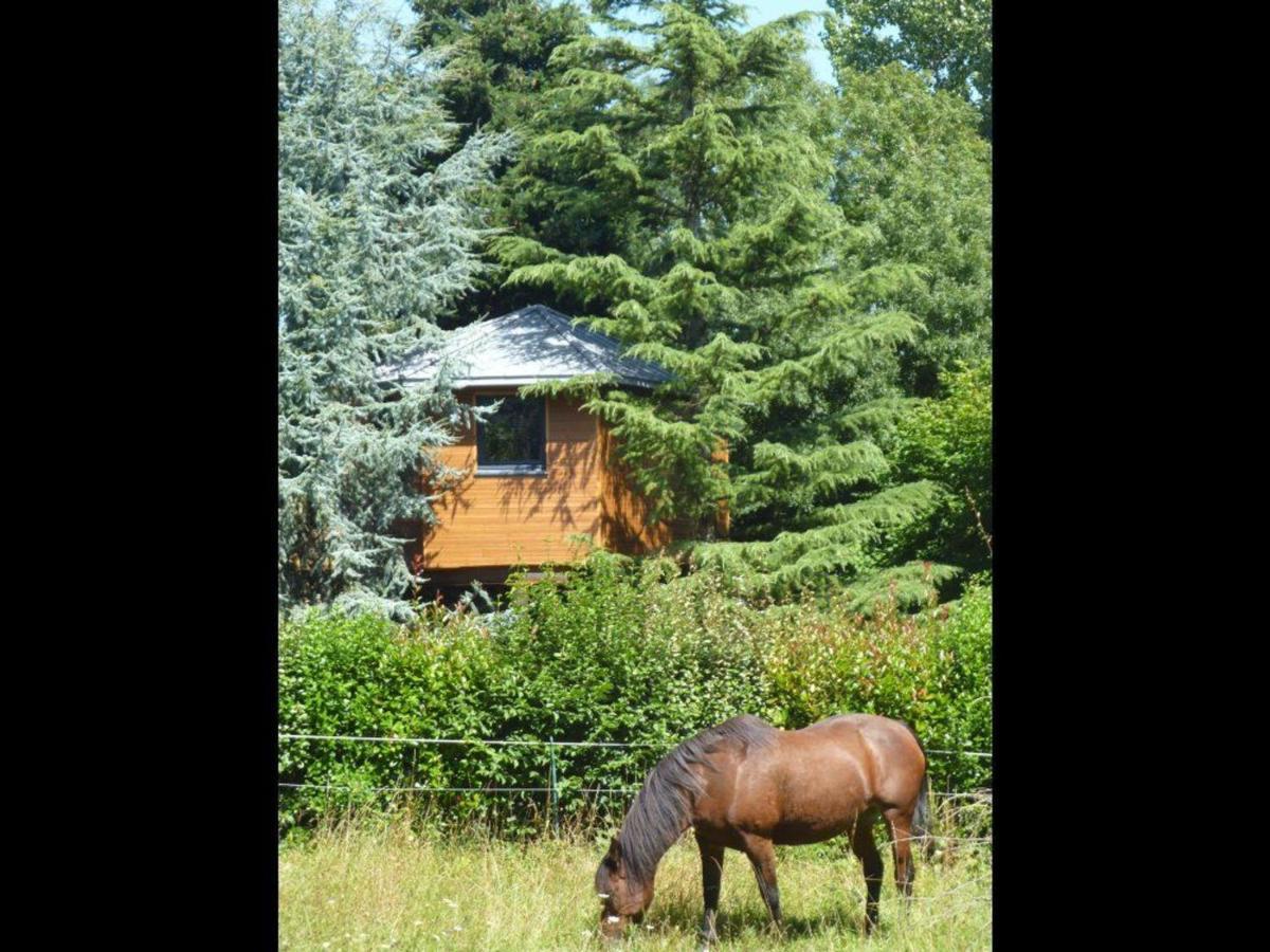 Cabane Perchee Avec Lit King-Size, Salle D'Eau, Kitchenette, Tv, Wi-Fi Et Petit-Dejeuner Inclus - Fr-1-306-1237 Port-Saint-Père Exterior foto